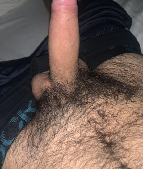 Hairy tummy and cock
