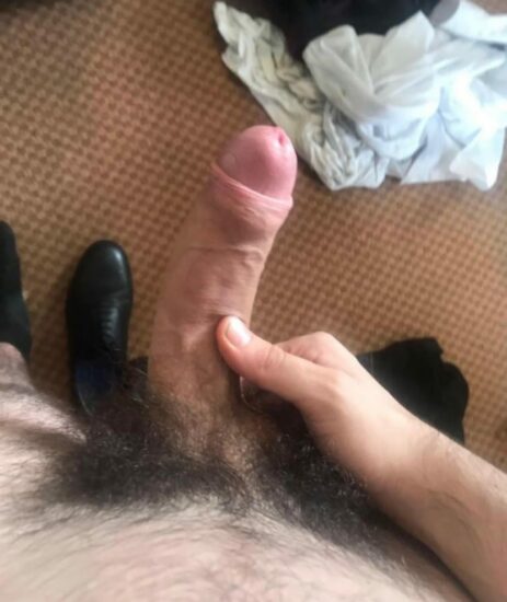 Hard and hairy dick