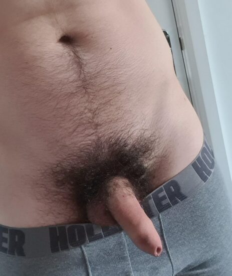 Soft hairy dick